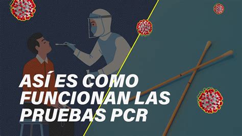 Tā nodrošinās personām piekļuvi saviem digitālajiem sertifikātiem, kā arī nodrošinās iespēju verificēt jeb pārbaudīt uzrādīto. Diferencias entre una prueba rápida y una prueba PCR para ...