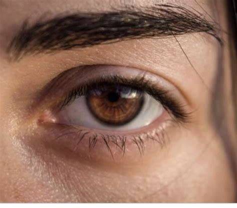 De Color Café Brown Eyes Aesthetic Aesthetic Eyes Makeup Tips For Brown Eyes