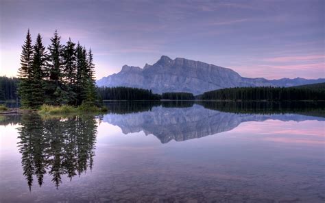 1680x1050 Water Lake Mountains Reflection Mirror Fir Trees