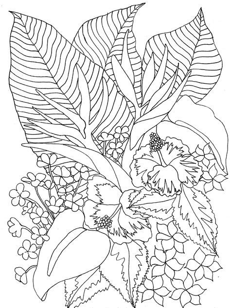Download and print these tropical flower coloring pages for free. Hawaiian Flower Coloring Page for Adults | Educative ...