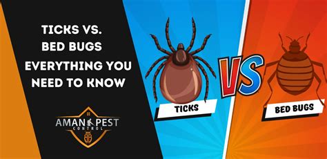 Whats The Difference Between Ticks Vs Bed Bugs Aman Pest Control