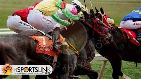 Good availability and great rates. Santa Rosa Park Arima Race Day 37 by OneManOutfit - YouTube