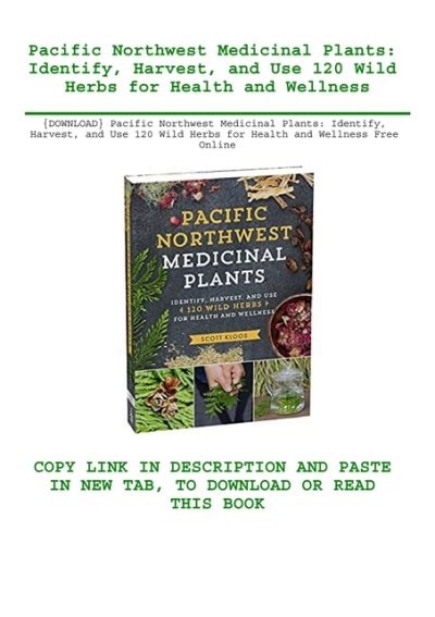 Download Pacific Northwest Medicinal Plants Identify Harvest And Use