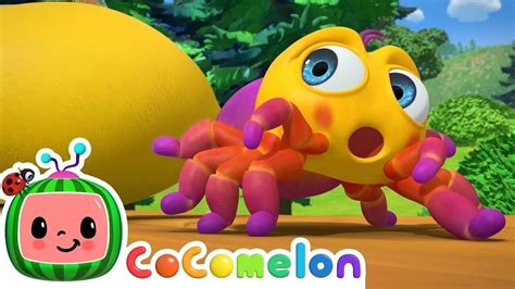 Itsy Bitsy Spider 🍉 Cocomelon Nursery Rhymes And Kids Songs 🍉🎶time For