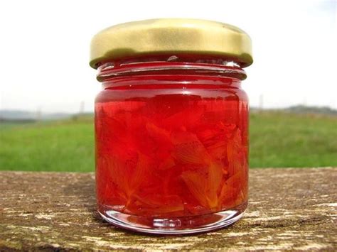 L'iperico (hypericum perforatum), conosciuto anche come erba di san giovanni, è una pianta erbacea perenne sempreverde della famiglia delle. Iperico pianta - Piante perenni - Pianta di iperico