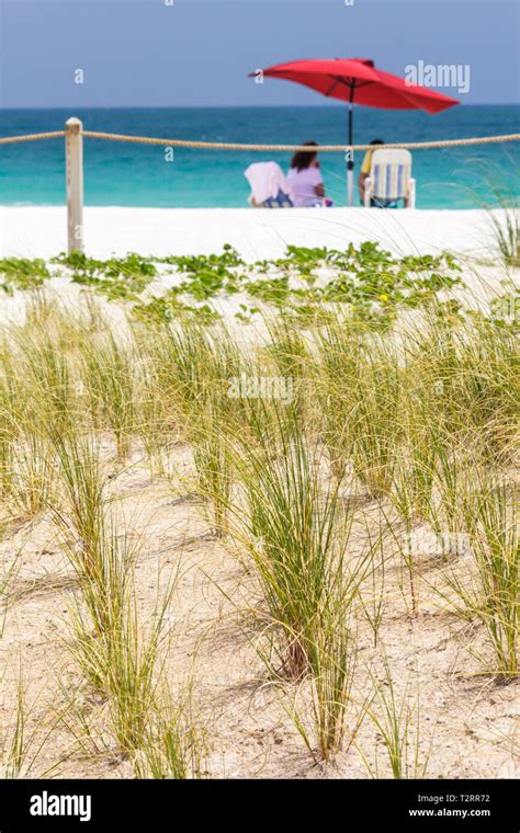 Miami Beach Florida Atlantic Ocean Water Dunes Grass Roped Off Umbrella Red Chair Public Beach