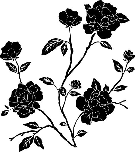 Black And White Flower Png Black And White Flower Png Transparent Free