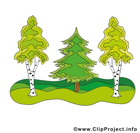 Wald Clipart 20 Free Cliparts Download Images On Clipground 2024