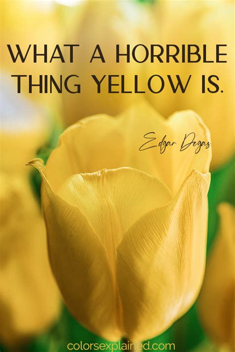 Meaning Of The Color Yellow Symbolism Common Uses And More