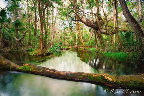 Rainbow River 1 Central Florida Florida Landscape Photography By