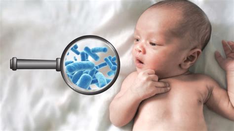 Researchers Identify Three Distinct Stages In Infant Microbiome