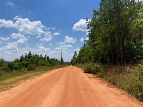 The longleaf pine ecosystem is a climax temperate coniferous forest habitat found within the southern united states; Longleaf Hunting Retreat in Wallace, ALABAMA https://www ...