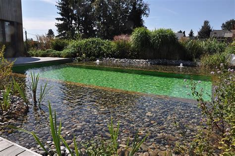 Amenagement Piscine Naturelle