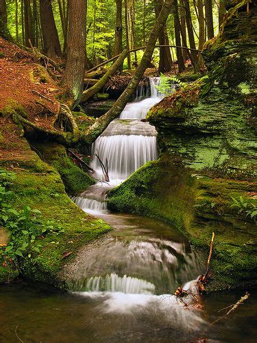 Propelled Susquehannock State Forest Pennsylvania Usa Beautiful