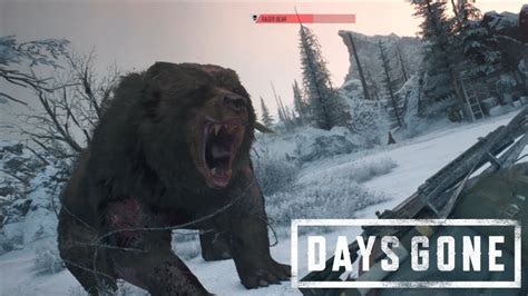 Days Gone Rager Zombie Bear Boss Fight Ps4 Gameplay Youtube