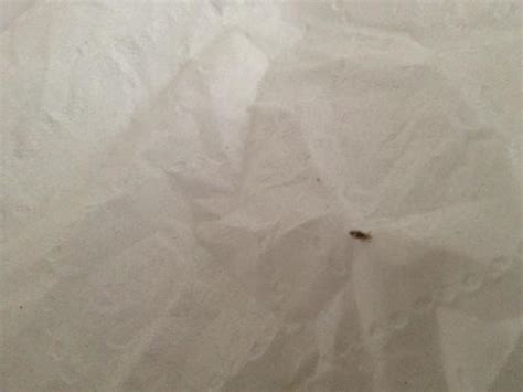 But, black people can't get lice as much as white people. this is the rust out of the sink when we turned on the ...