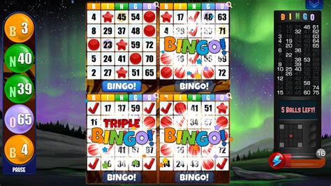 Absolute Bingo Apk For Android Download