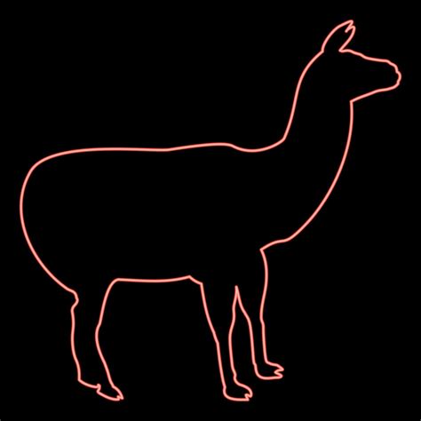 Neon Alpaca Llama Lama Guanaco Red Color Vector Illustration Image Flat