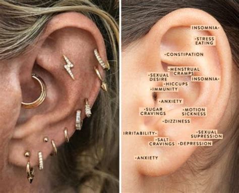 It's a new piercing so i need to keep the bar in my belly. Are Your Trendy Ear Piercings Helping You On A Wellness ...
