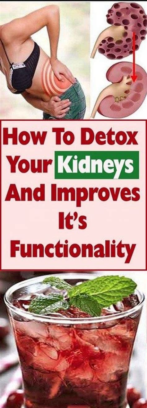 How To Detox Your Kidneys And Improve Its Functionality Health And