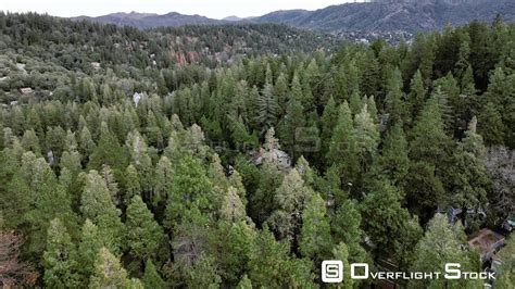 Overflightstock Trees Mountains Fog And Curvy Roads Drone Aerial