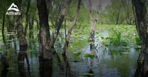 Hidden cove park is home to beautiful cabins located right on lake lewisville. Best Trails in Lewisville Lake Park - Texas | AllTrails