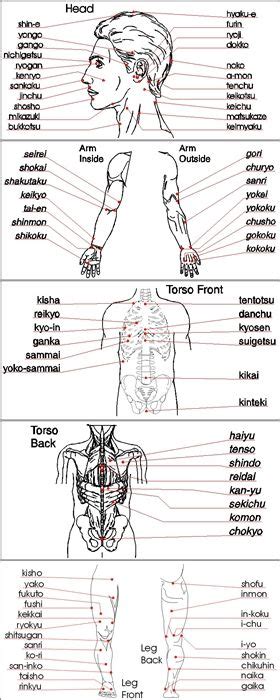 Shorinji Kempo Kyusho Pressure Points Anatomical Awareness Is Key