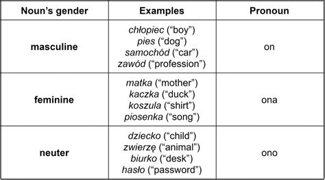 Polish Personal Pronouns And Gender Clozemaster Blog