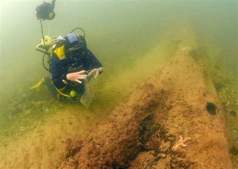 10000 Year Old Underwater Forest Discovered Off The Coast Of Norfolk