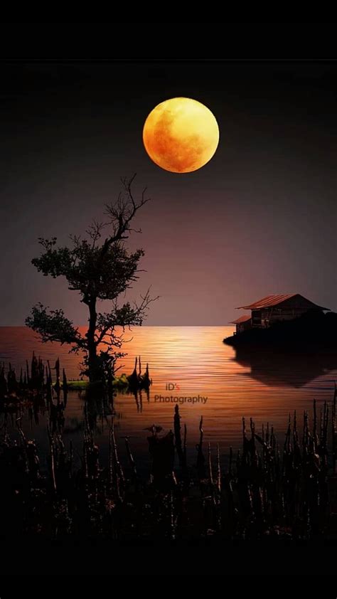 Pin By Sveta On Moon Beautiful Nature Pictures Moon Photography