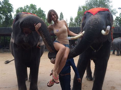 With Elephants Porn Pic Eporner