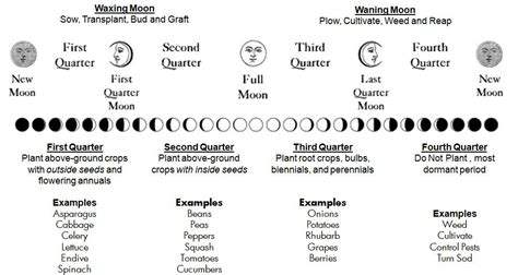 What Is Moon Planting Tar2trees Moon Plant Planting Calendar