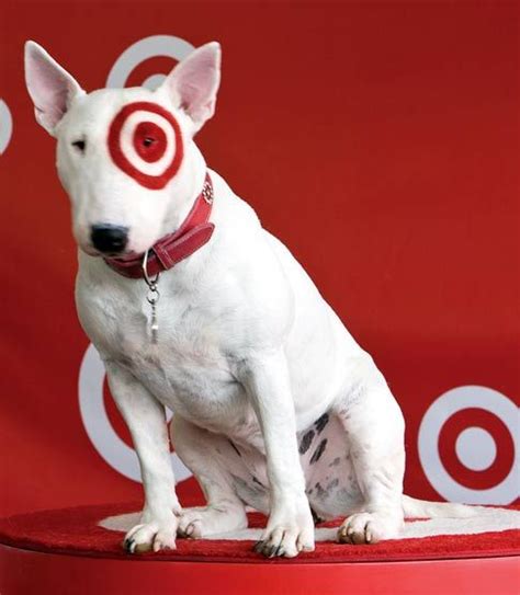 Remember Targets Mascot Spot The Pit 1 Must Love Dogs Pinter