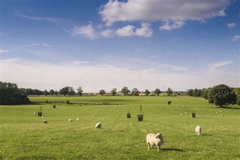 Idyllic Rural Farmland Cotswolds Uk Stock Image Image Of Hill Farm