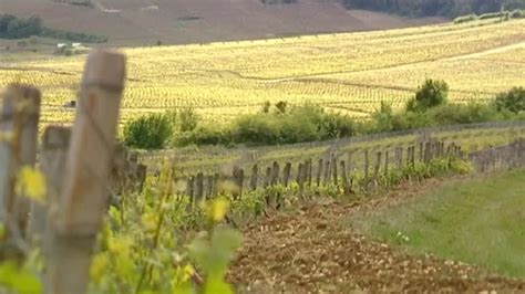Les climats du vignoble de Bourgogne bientôt classés à lUnesco