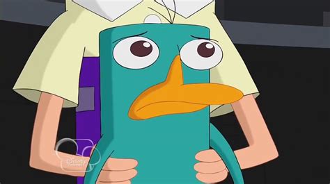 Uh Oh Perry The Platypus Photo 24339942 Fanpop