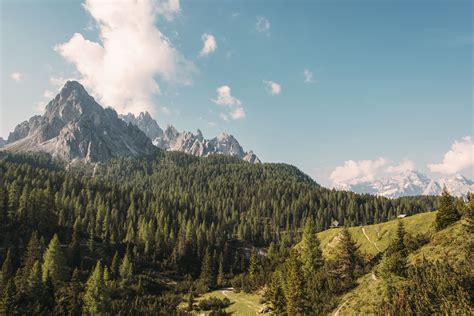 Mountain Forest Wallpapers Top Những Hình Ảnh Đẹp