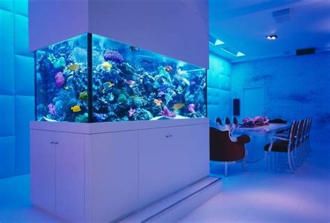 Aquarium Dans Le Salon En Plus De 103 Idées Magnifiques Aquariums