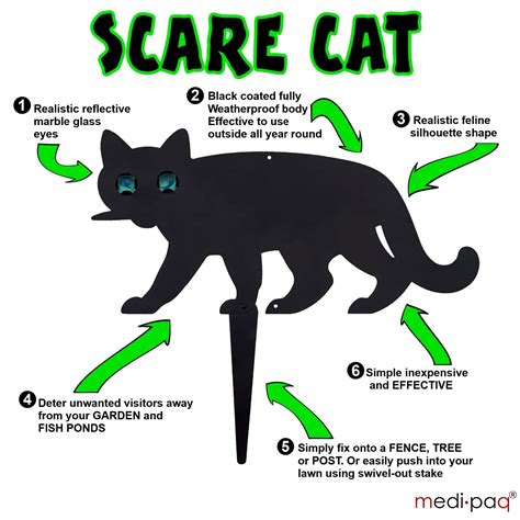 Delivering products from abroad is always free, however, your parcel may be subject to vat, customs duties or other taxes, depending on laws of the country you live in. 2x SCARE CAT Garden Scarer Stop Pest Control Deterrent ...