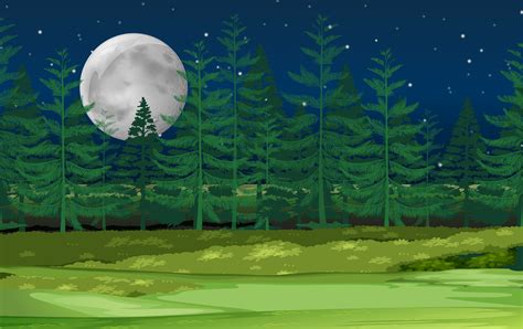 A Night Forest Landscape 296138 Vector Art At Vecteezy