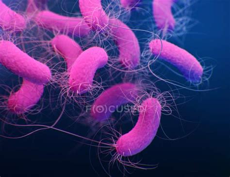Digital 3d Illustration Of Pseudomonas Aeruginosa Bacteria — Microbes