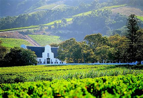 Wine Tasting In The Constantia Winelands Cape Town Wine Tour