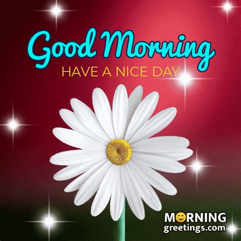 A White Flower With The Words Good Morning Have A Nice Day