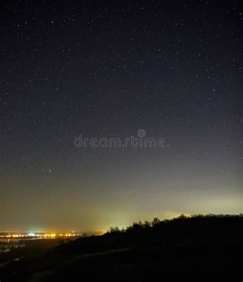 Starry Sky At Night Over Forest Picture Image 82994564