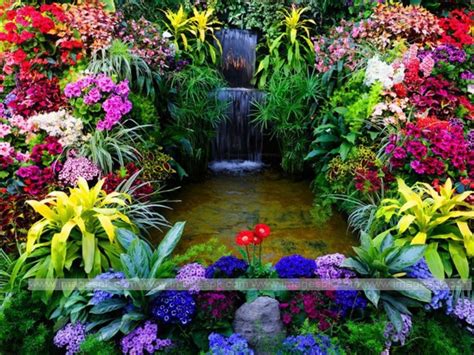 Beautiful Flower Garden Wallpapers Wallpapersafari