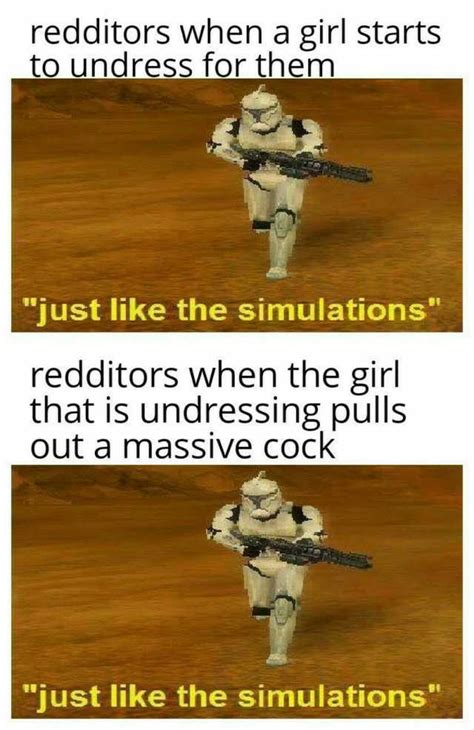 Redditors When A Girl Starts To Undress For Them Just Like The Simulations Redditors When The