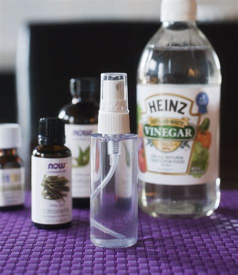 I don't care if it is food that goes in my body so here is what i do: diy natural mosquito & tick repellent | pretty plain janes