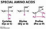 Special Amino Acids Pictures