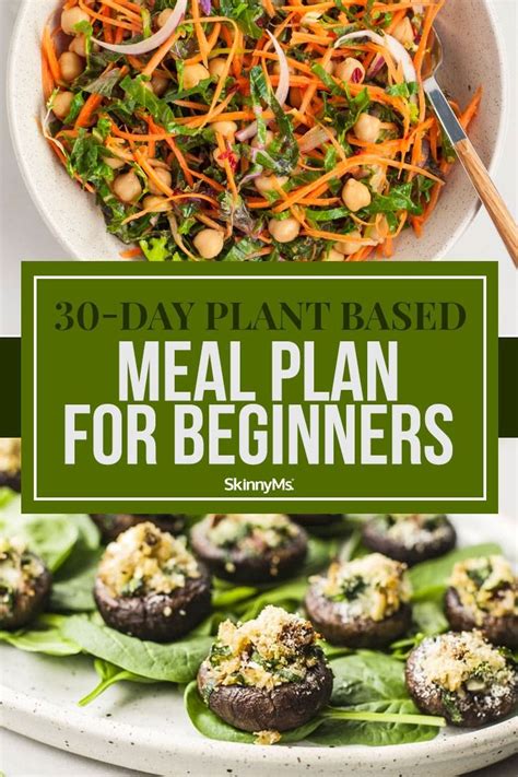 Whole food plant based recipes for beginners. 30-Day Plant-Based Meal Plan For Beginners | Meal planning ...