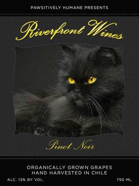 Gato negro wine black cat wine inexpensive and very good. Black cat wine label Pinot Noir | Shop & Help Homeless ...